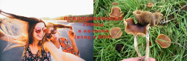кокаин колумбия Алексеевка